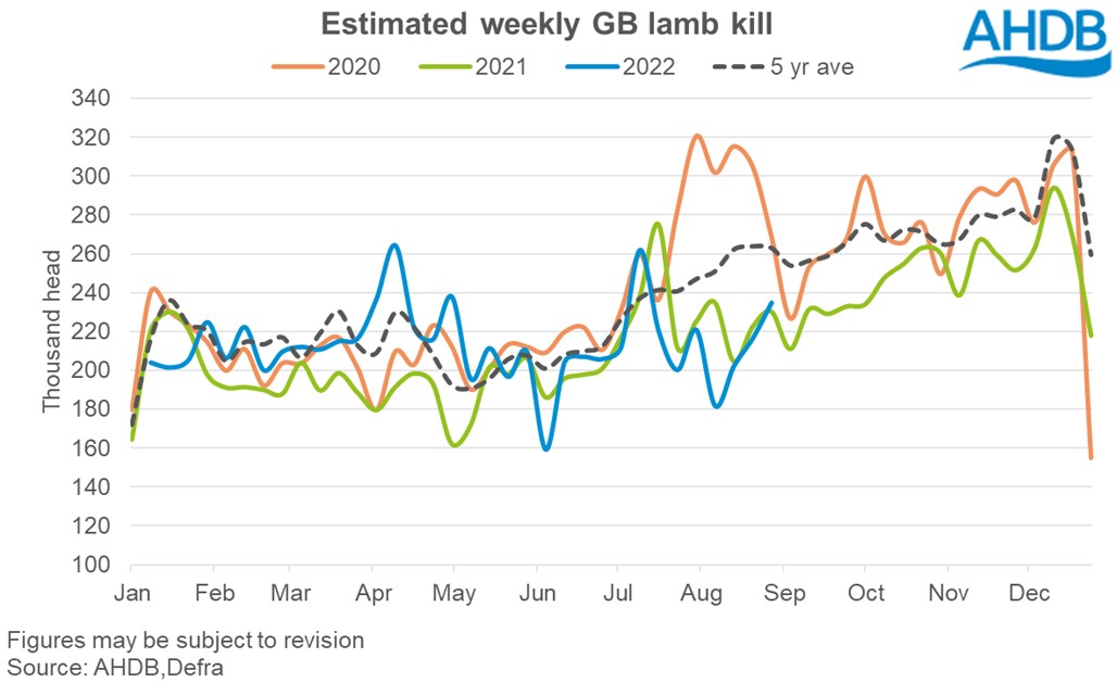 line graph showing year to date lamb throughputs at abattoir